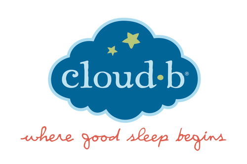 cloud b logo