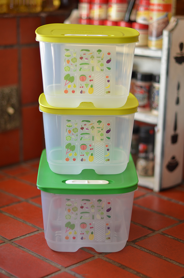 Tupperware Fridgesmart Large Extra Large Container