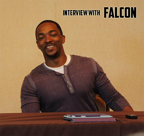 Anthony Mackie Falcon