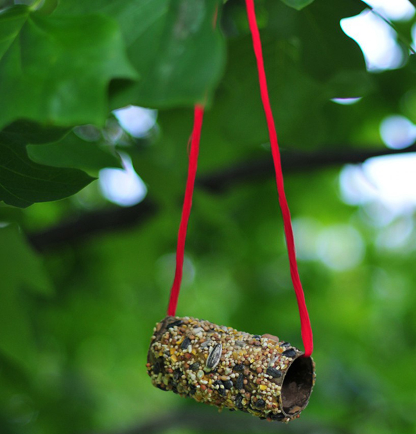 Toilet paper roll bird feeders