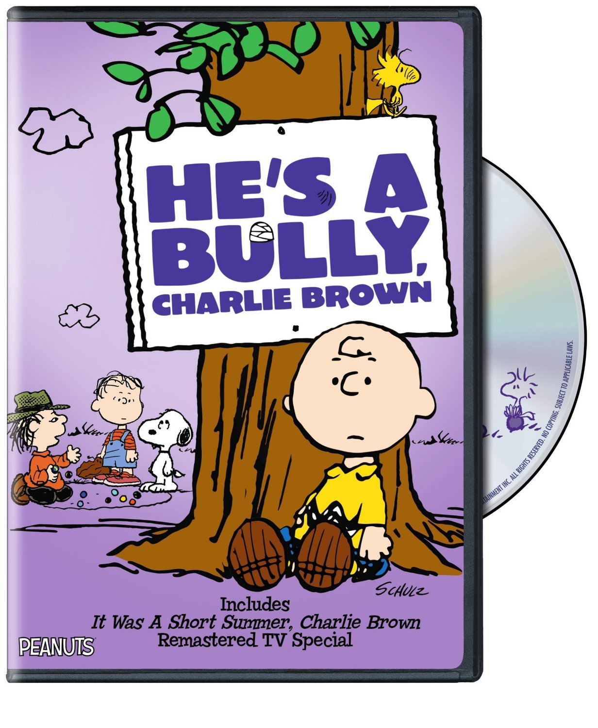 hes-a-bully-charlie-brown