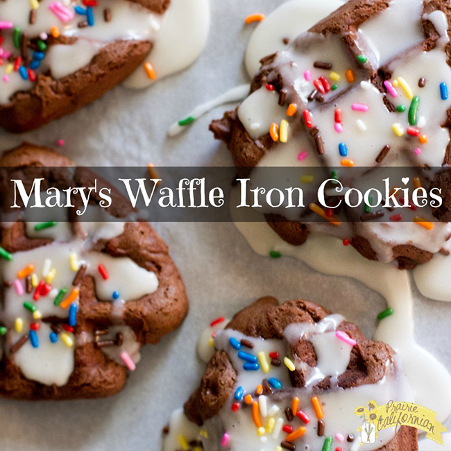 Waffle Iron Cookies - Waffle Maker Recipes