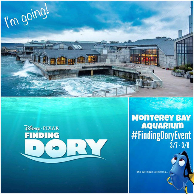Finding Dory Event #FindingDoryEvent