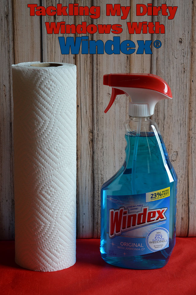 Tackling My Dirty Windows With Windex