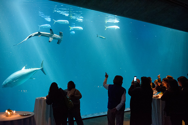 Dinner reception at Monterey Bay Aquarium