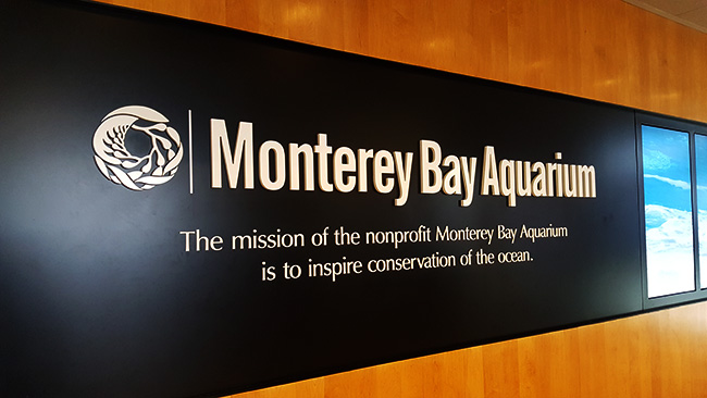 Monterey Bay Aquarium 