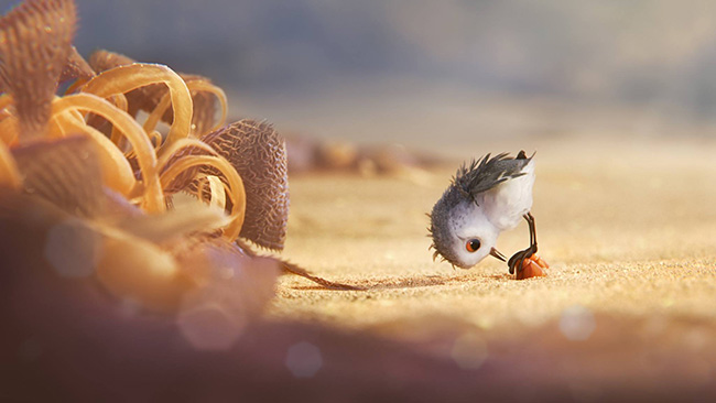 Piper - Pixar's Film Short