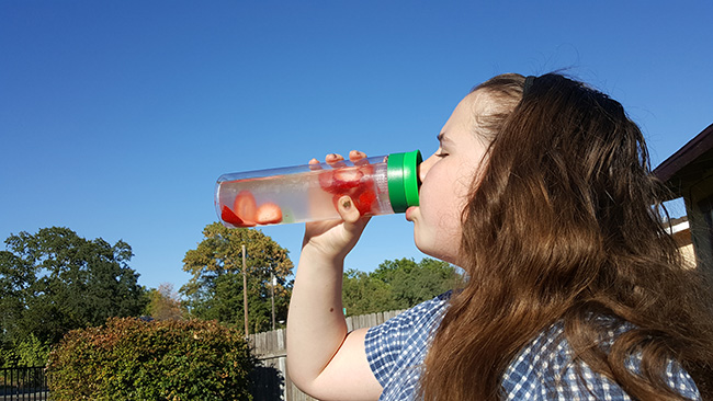 Strawberry Infused Water With Culturelle