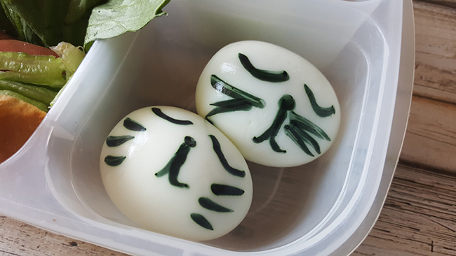 Bento Box Cat Eggs