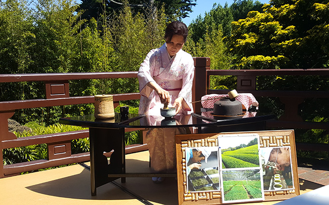 JapaneseTea Ceremony at Japenese Tea Garden in San Francisco