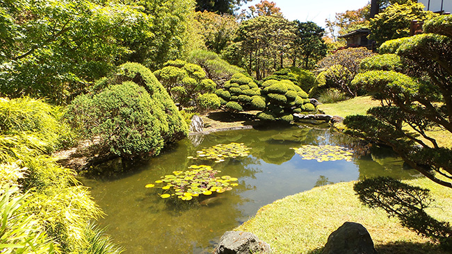 Japanese Tea Garden