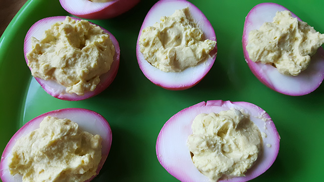 Deviled eggs pickled with beet juice