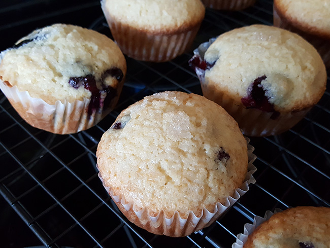 Easy To Make Blueberry Muffins