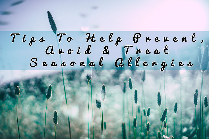 Tips To Help Prevent, Avoid & Treat Seasonal Allergies