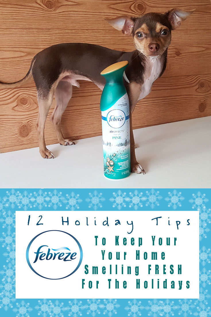 12 Holiday Tips To Keep Your Home Smelling Fresh For The Holidays - #12Stinks
