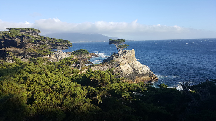 The Lone Cypress - 17 Mile Drive