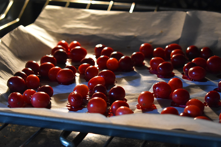 Cranberries - Power AirFryer Oven Elite