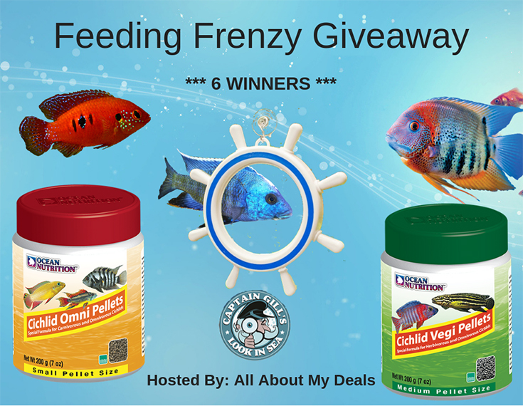 Feeding Frenzy Giveaway