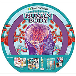 Smithsonian Exploration Station: Human Body