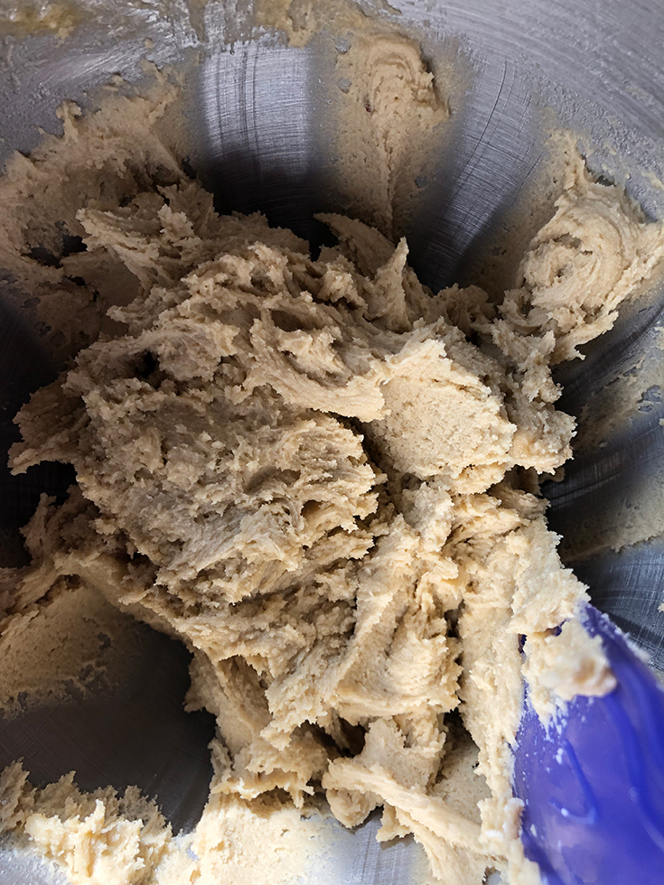 Protein Powder Cookie Dough