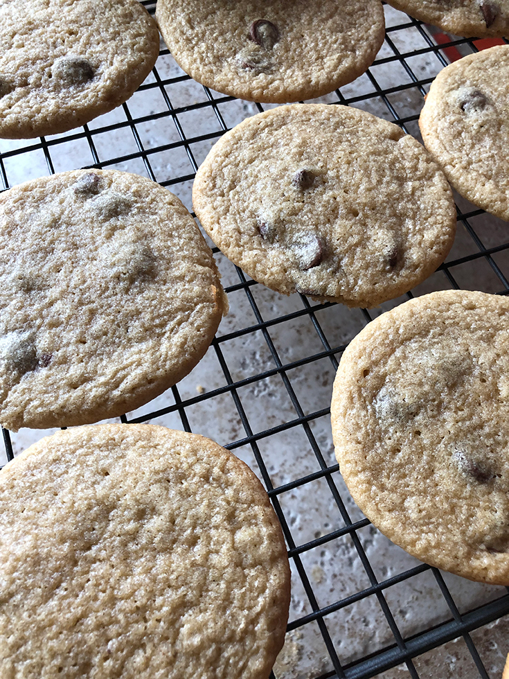 Protein Powder Cookies Recipe