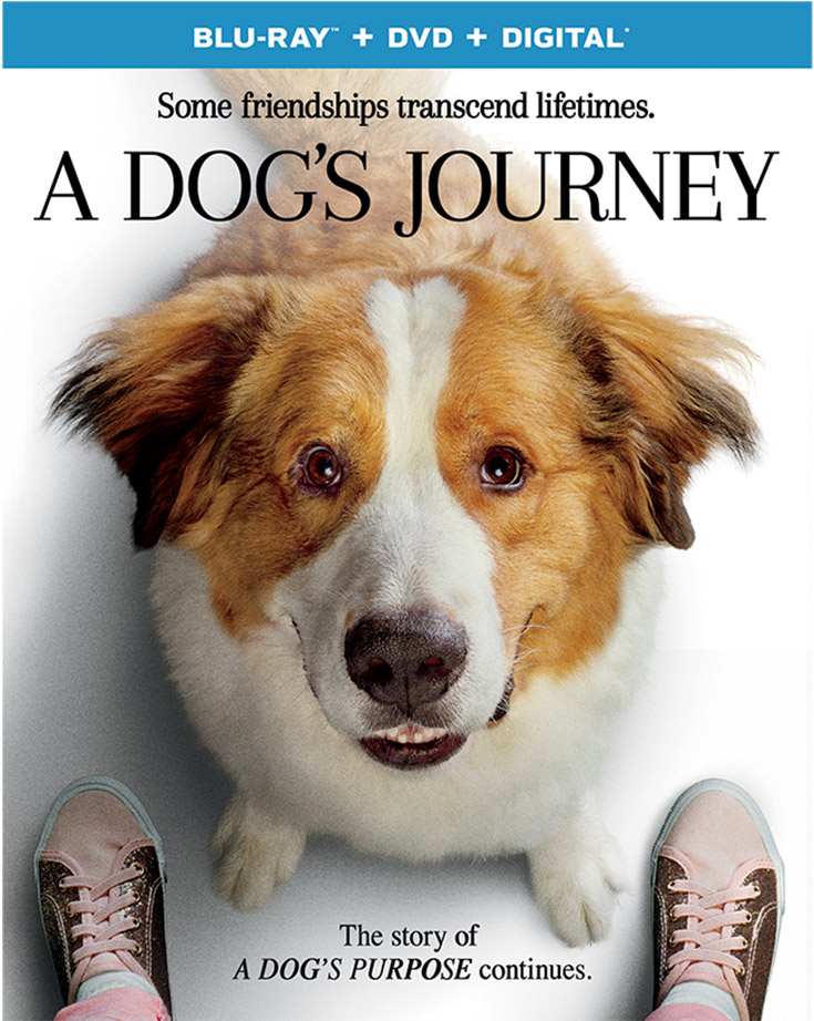 A Dog’s Journey – NOW On Blu-Ray + DVD & Digital