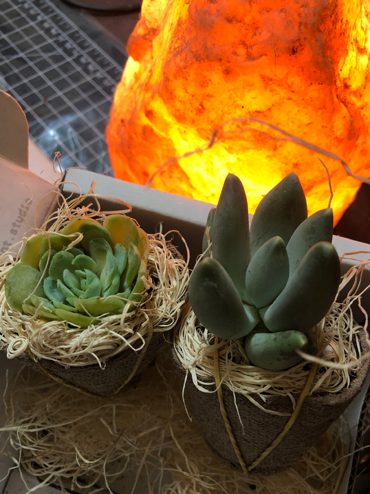 Succulent Studios Subscription Box July