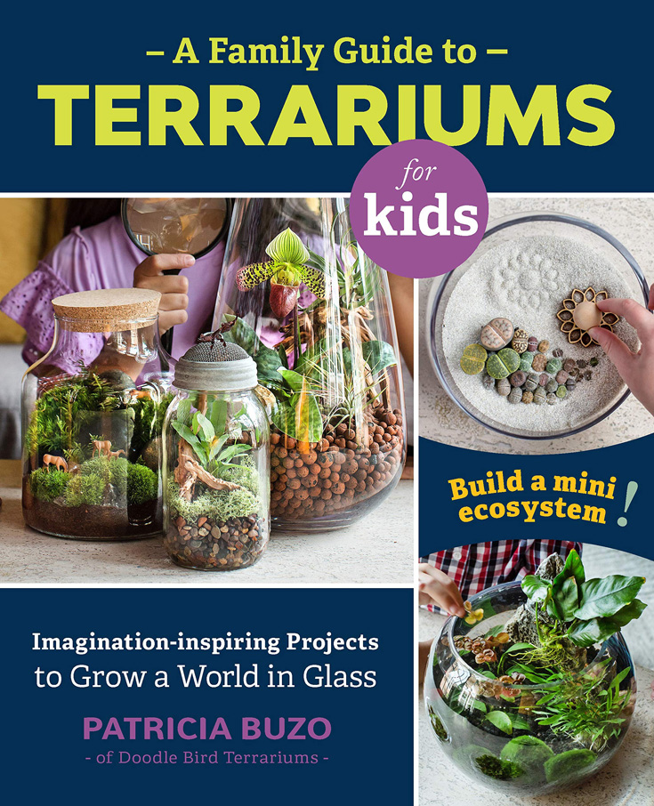 A Family Guide To Terrariums For Kids