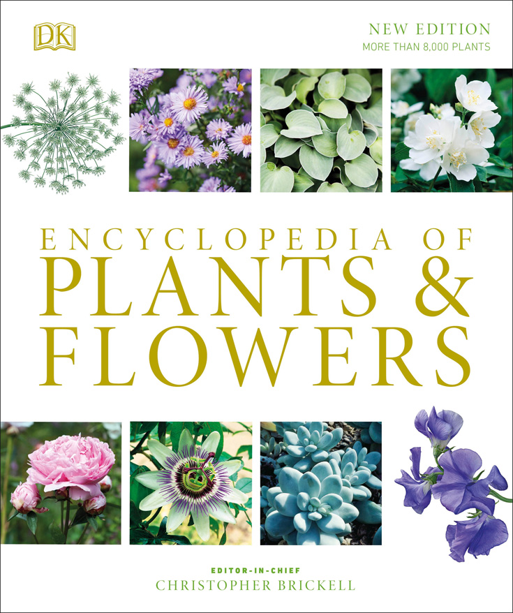  Report incorrect product information Christopher Brickell Encyclopedia of Plants and Flowers