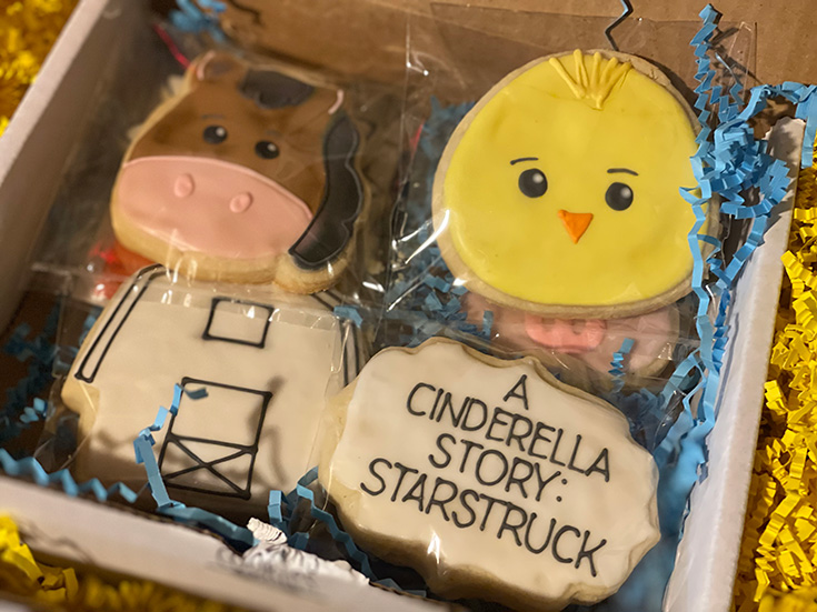 A Cinderella Story: Starstruck Cookies