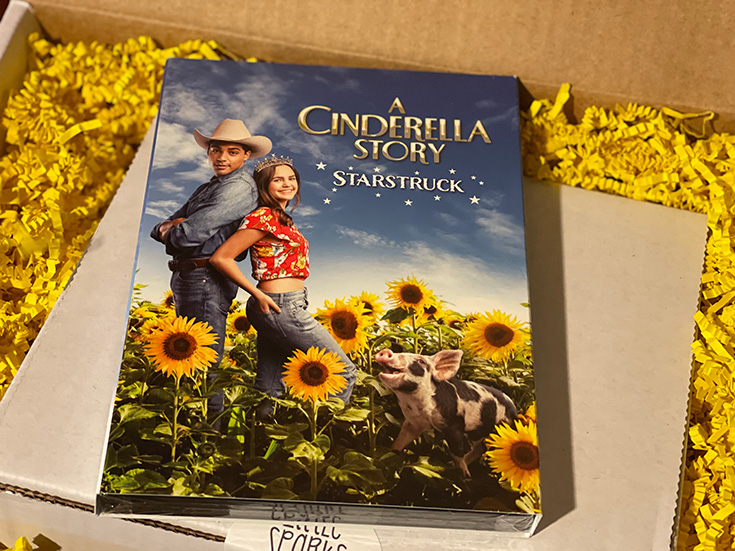 A Cinderella Story Starstruck Is Now Available On DVD #CinderellaStarstruck