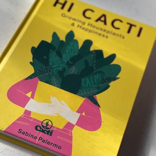 Hi Cacti by Sabina Palermo
