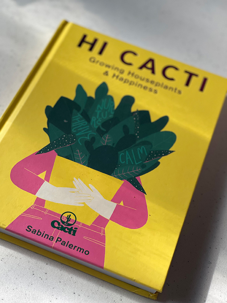Hi Cacti by Sabina Palermo
