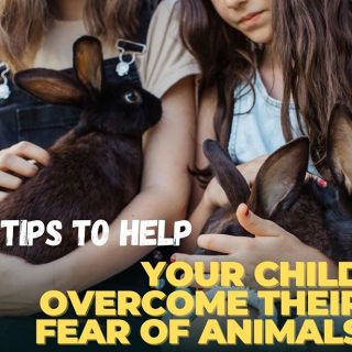 5 Tips To Help Your Child Overcome Their Fear Of Animals