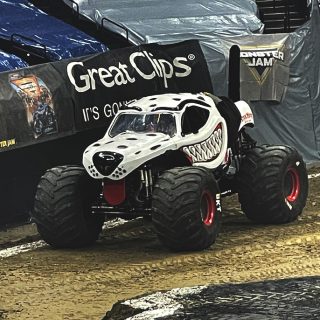 Monster Mutt Dalmation