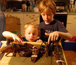 Kids and lobsters