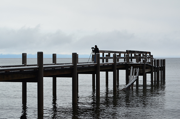 Photographer Taking Photos On Dock