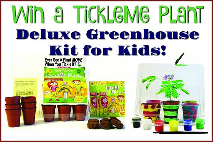 TickleMe Plant Deluxe Greenhouse Kit For Kids Giveaway