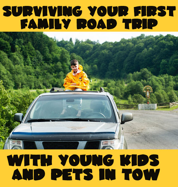 Surviving Your First Family Road Trip with Young Kids and Pets in Tow