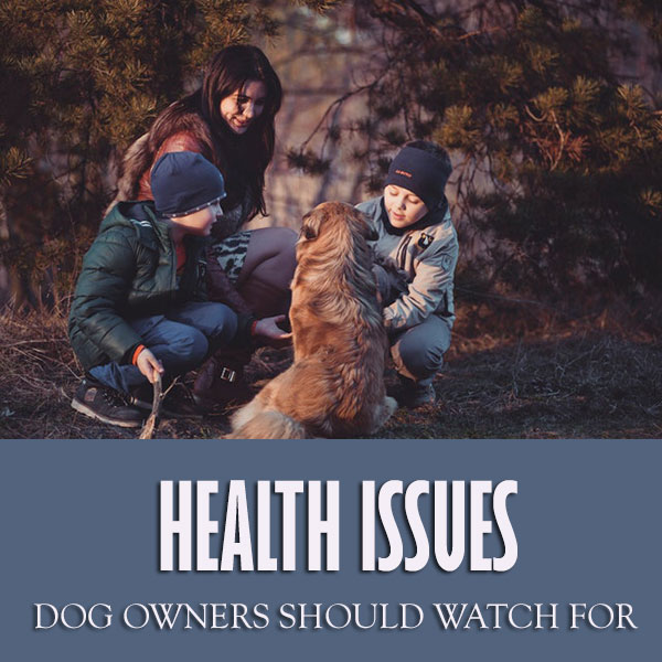 Health Issues Dog Owners Should Watch For 