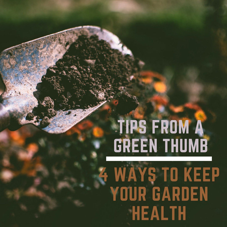 Tips From A Green Thumb: 4 Ways to Keep Your Garden Health