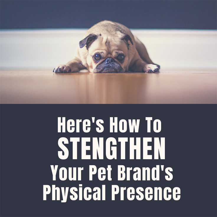 Here’s How To Strengthen Your Pet Brand’s Physical Presence