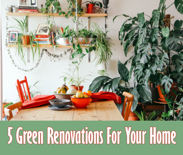 5 Green Renovations For Your Home