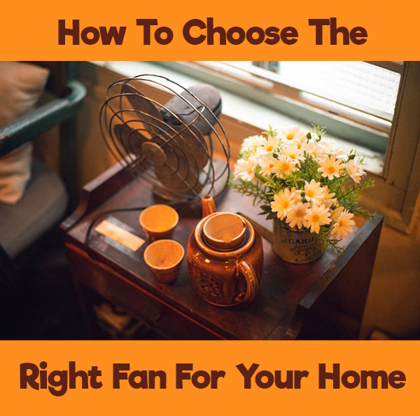 How To Choose The Right Fan For Your Home