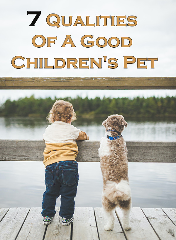 7 Qualities Of A Good Children's Pet