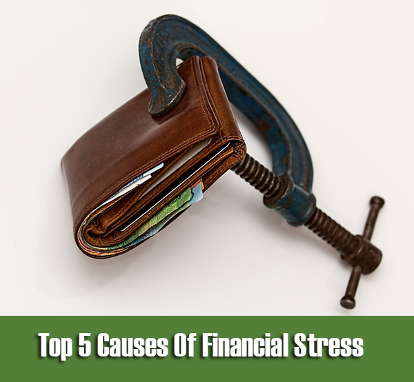 Top 5 Causes Of Financial Stress