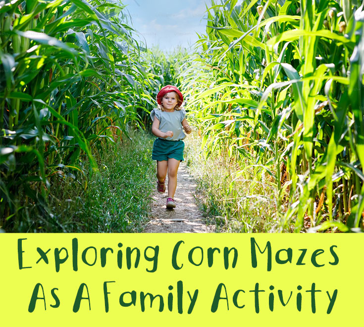Exploring Corn Mazes As A Family Activity